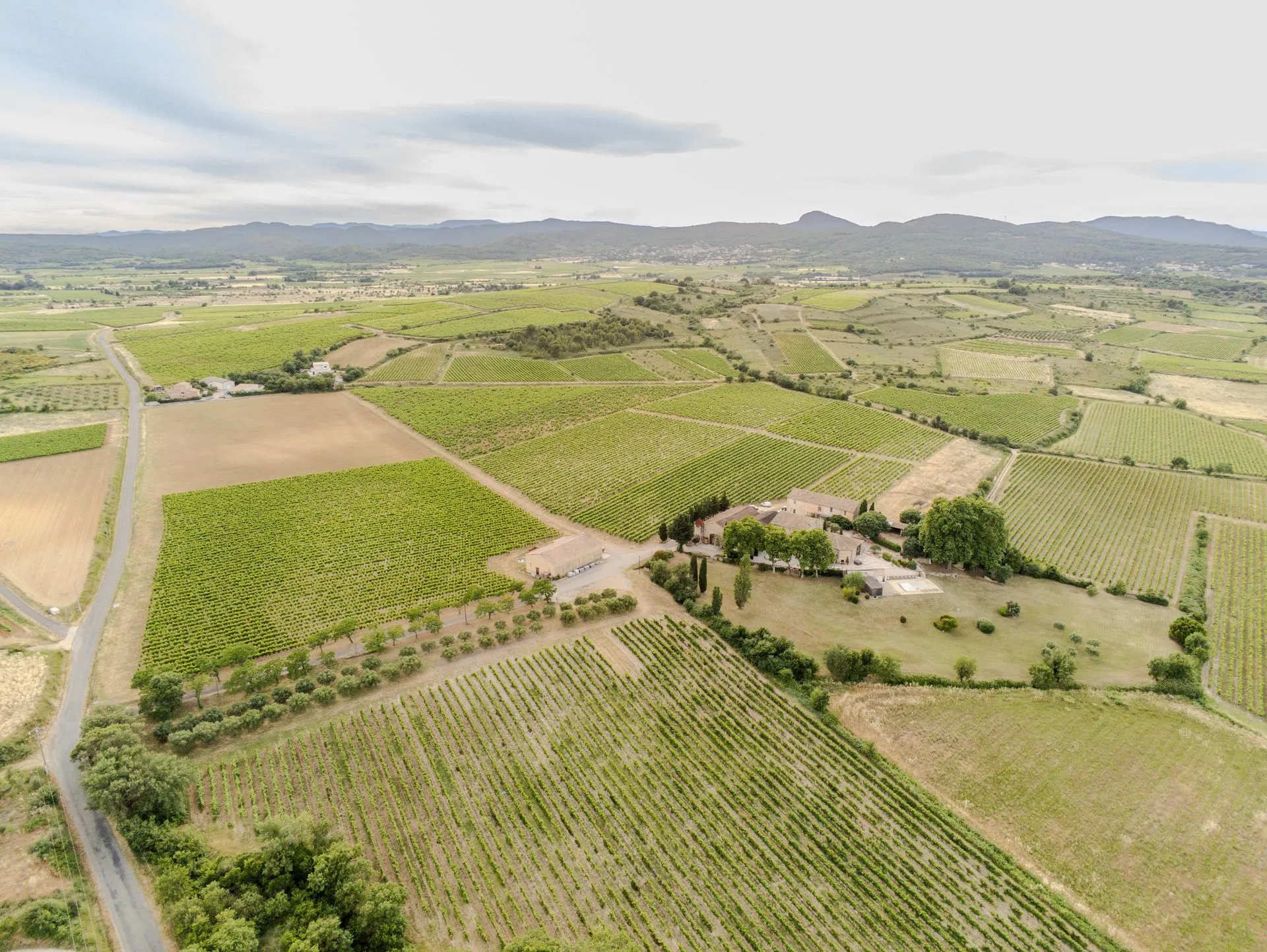 Le Domaine de Fabrègues au milieu de ses vignes, vu du ciel