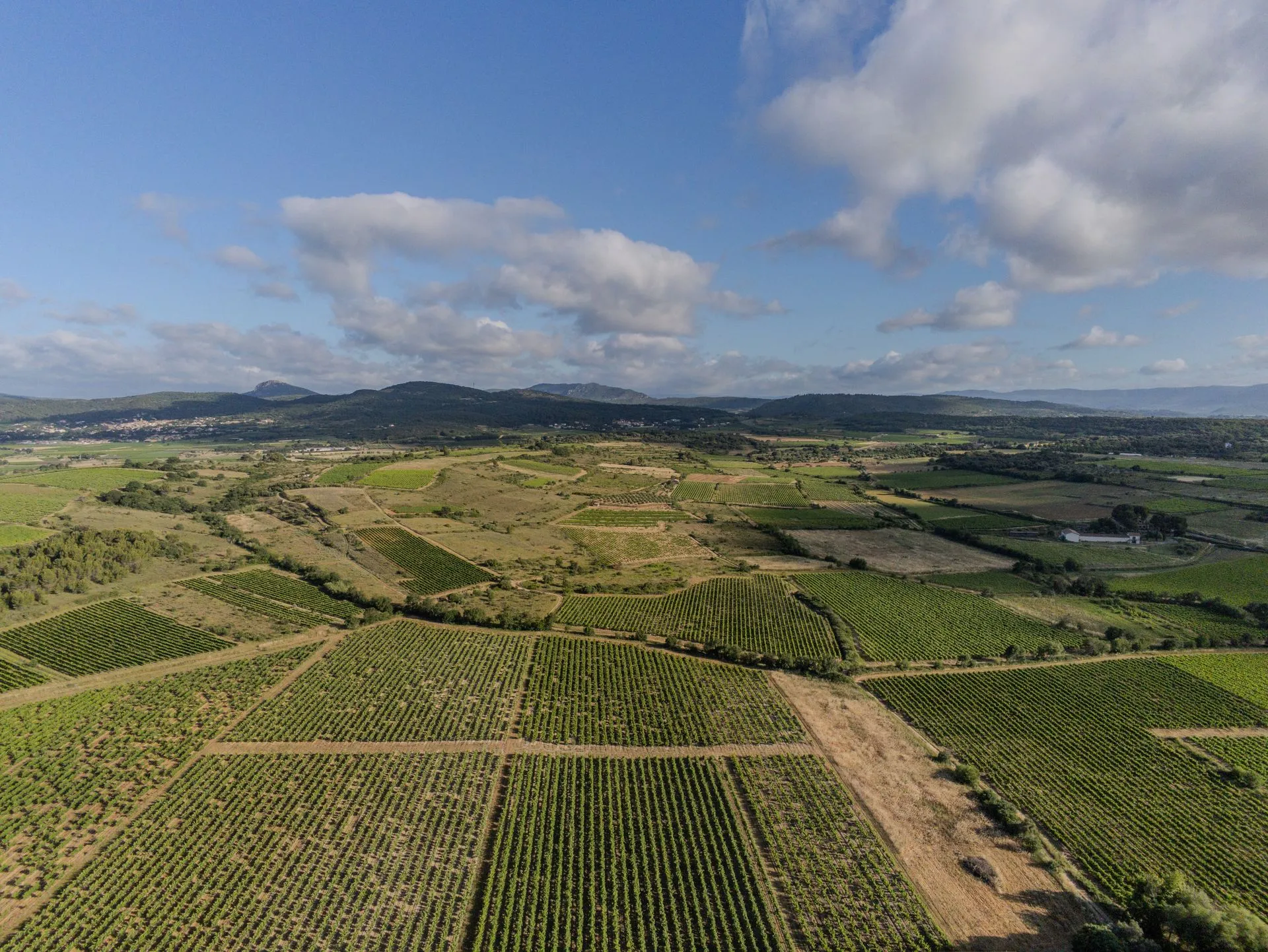 Les parcelles du domaine et le massif en arrière-plan, vus du ciel