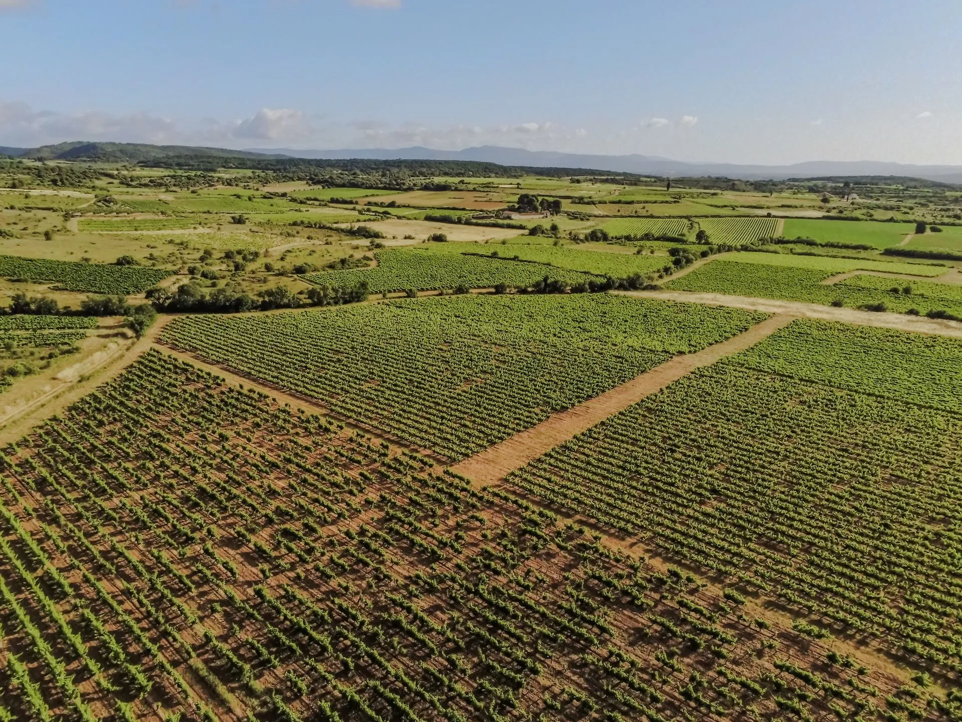 Les parcelles du domaine vues du ciel
