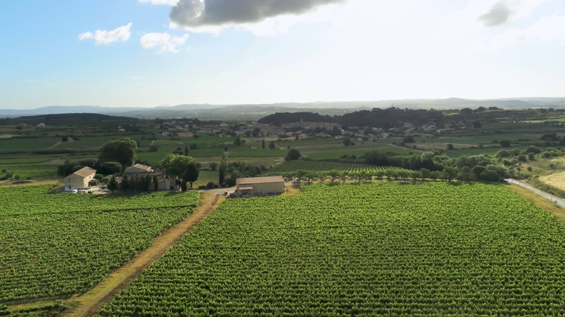 Domaine de Fabrègues