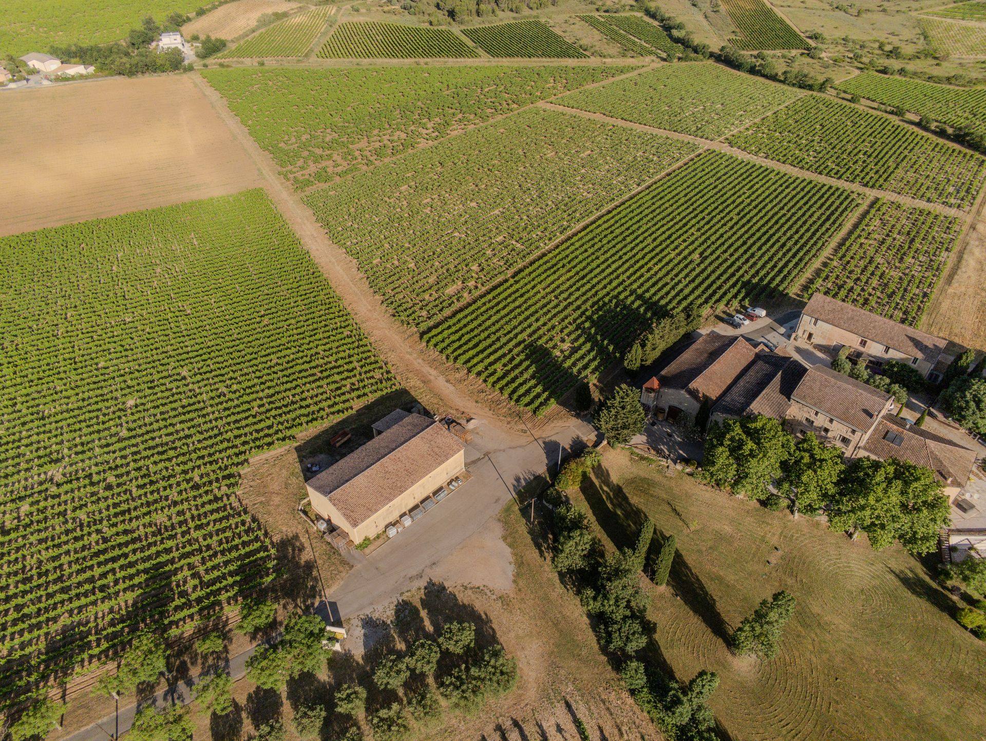 Le Domaine de Fabrègues et ses vignes vus du ciel