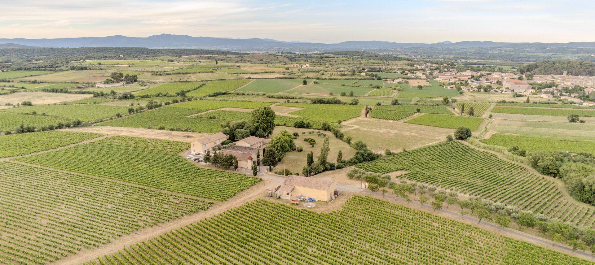 Domaine de Fabrègues and its vines from above