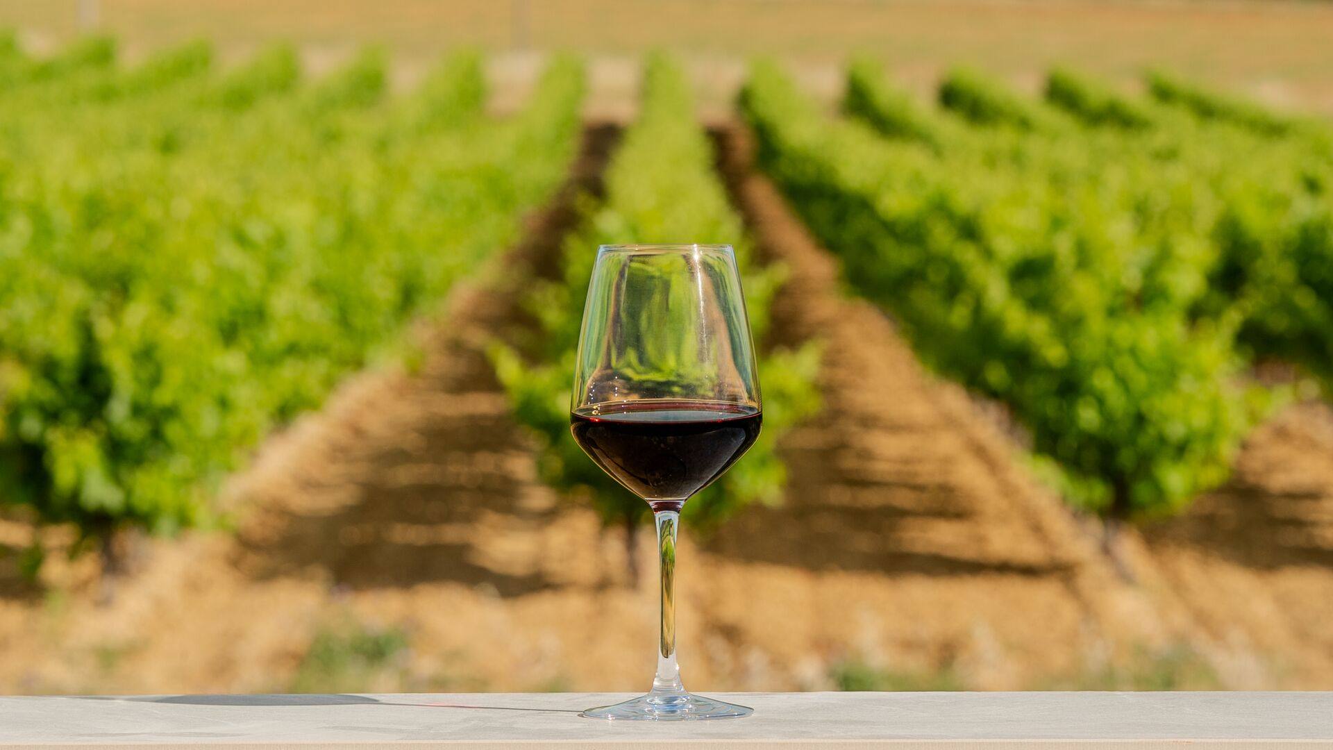 Domaine de Fabrègues