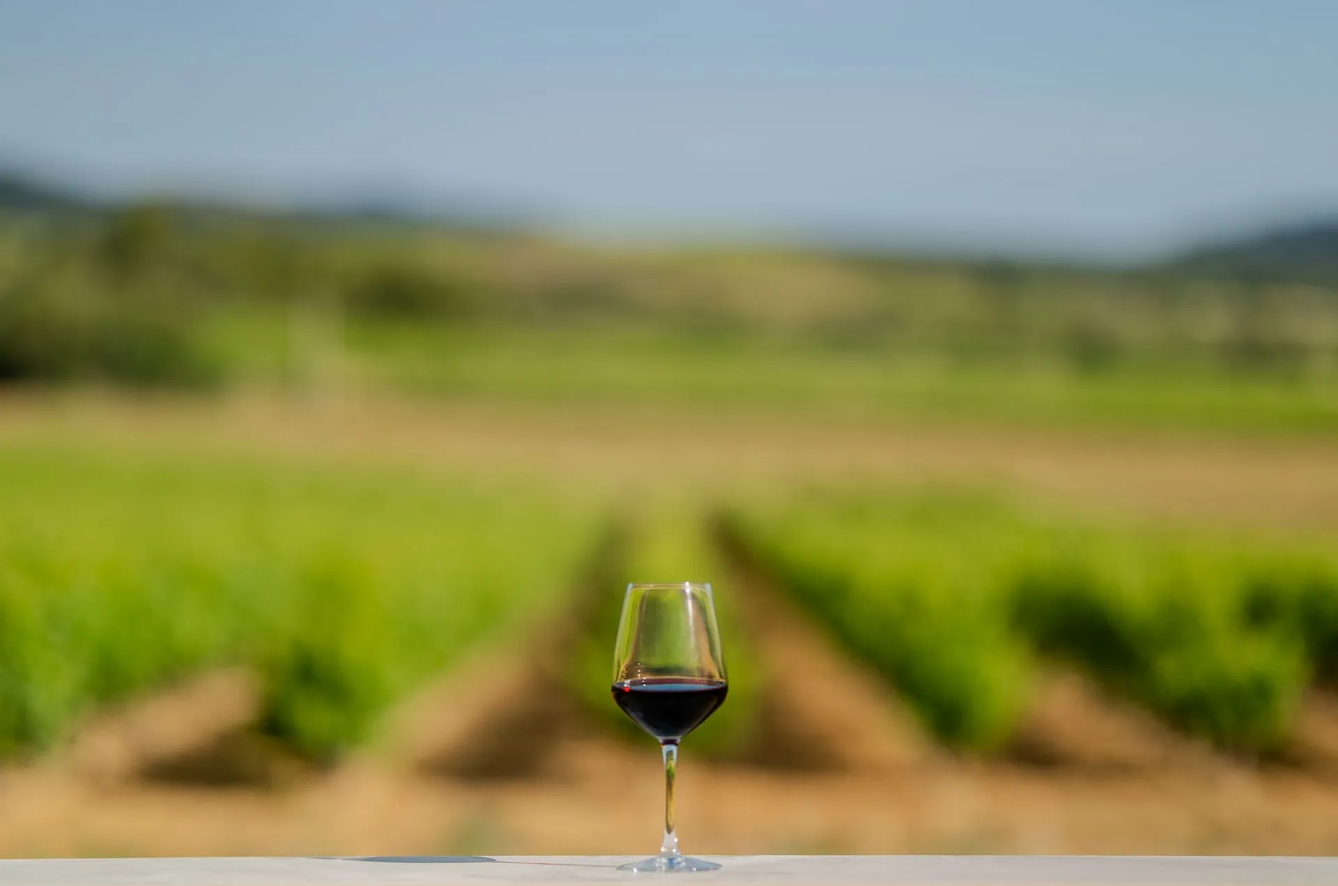 Un verre de vin rouge posé devant les rangs de vigne du domaine